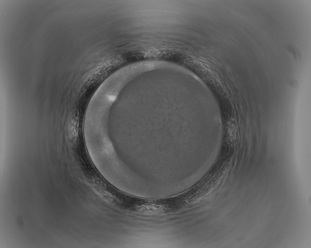 X0000113110691200909251053