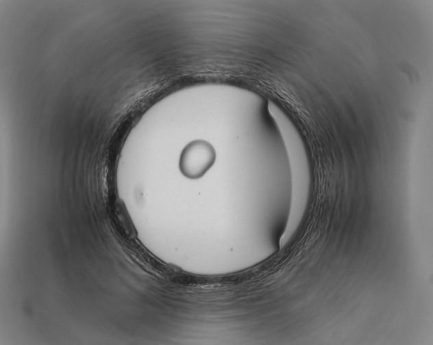 X0000113110692200909251053