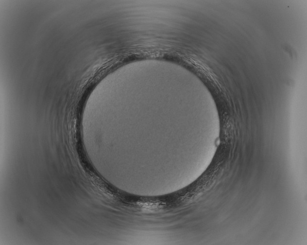 X0000113110693200909251053