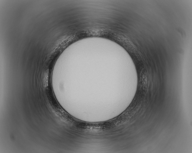 X0000113110694200909251053