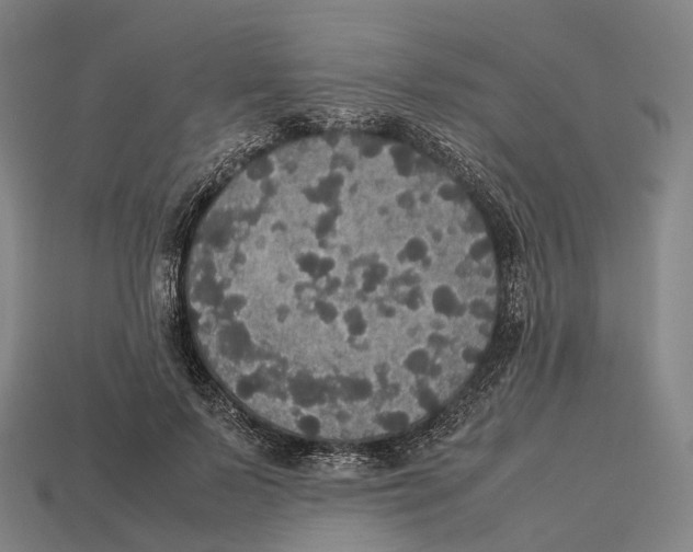 X0000113110695200909251053