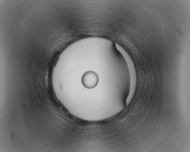 X0000113110696200909251053