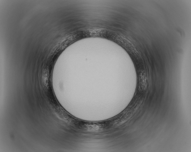 X0000113110698200909251052