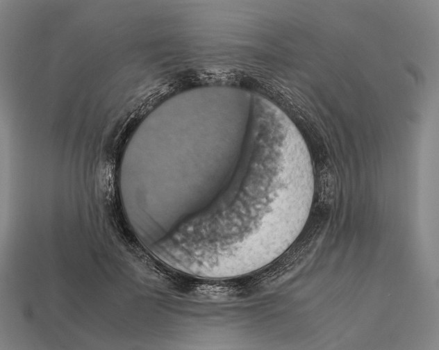 X0000113110699200909251052