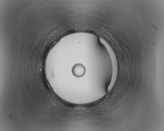 X0000113110701200909251052