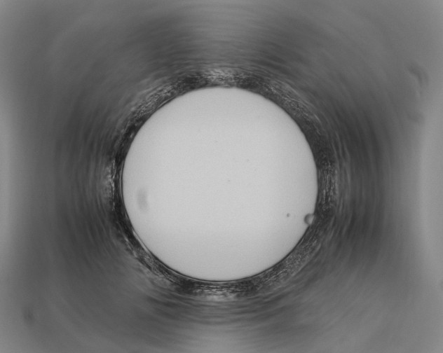 X0000113110702200909251052