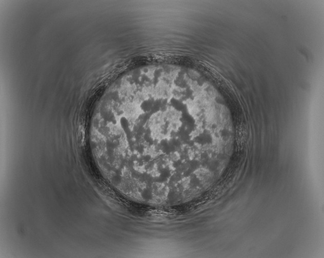X0000113110703200909251052