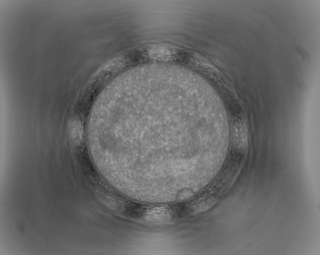 X0000113110705200909251052