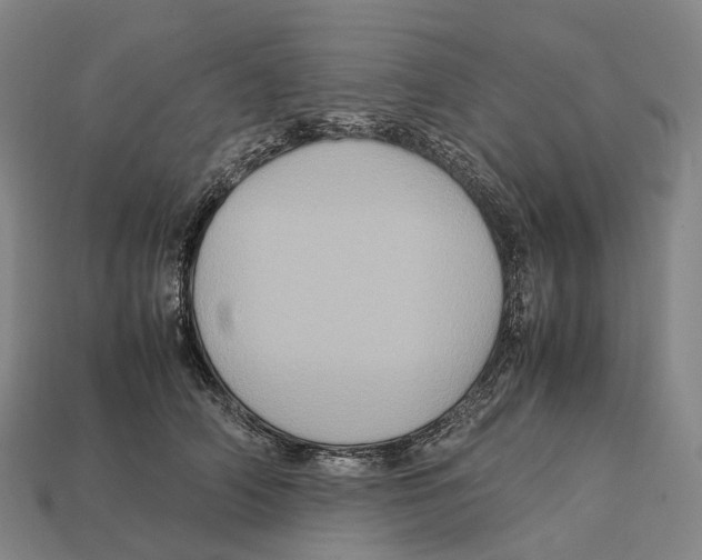 X0000113110706200909251052