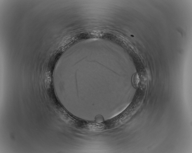 X0000113110707200909251052