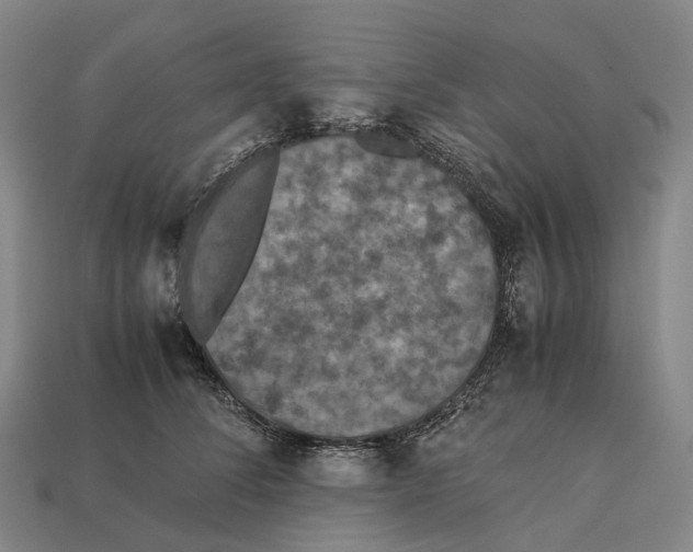 X0000113110708200909251052