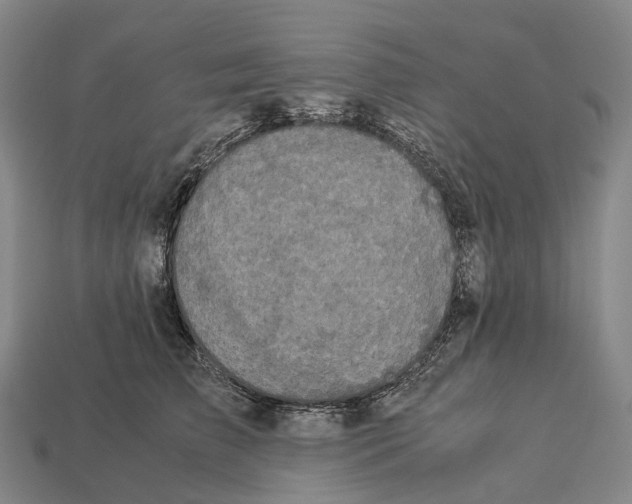 X0000113110709200909251052