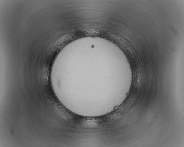 X0000113110710200909251052
