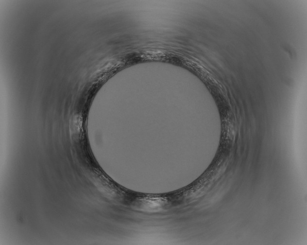 X0000113110711200909251052