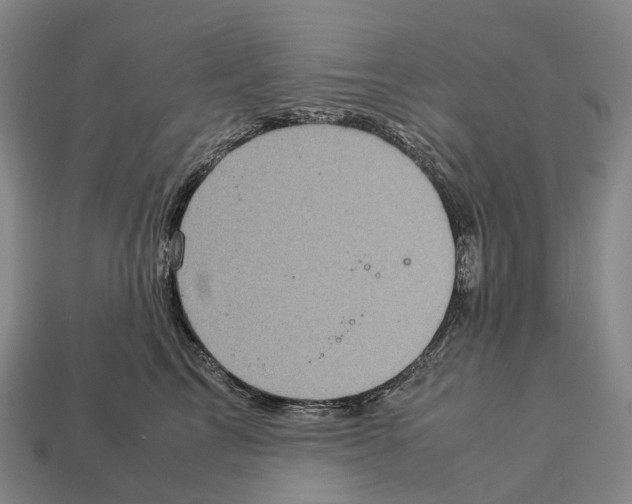 X0000113110713200909251052