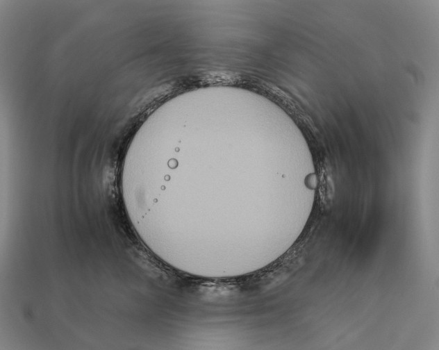 X0000113110714200909251052