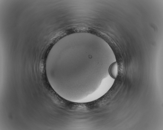X0000113110715200909251052