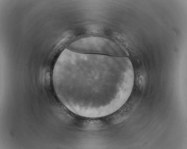 X0000113110716200909251052