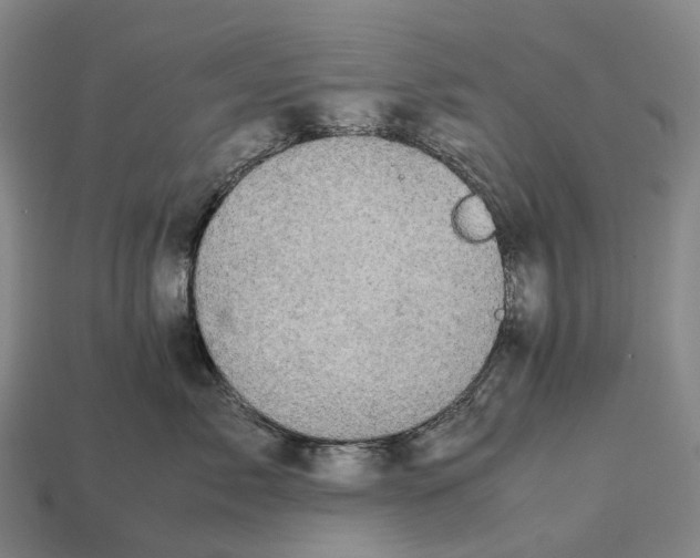 X0000113110717200909251052