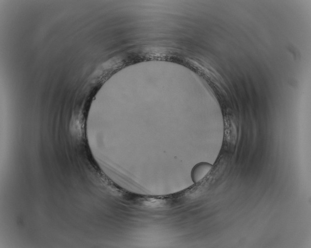 X0000113110718200909251052