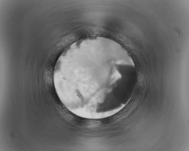 X0000113110719200909251052