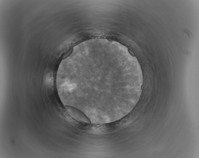 X0000113110720200909251052