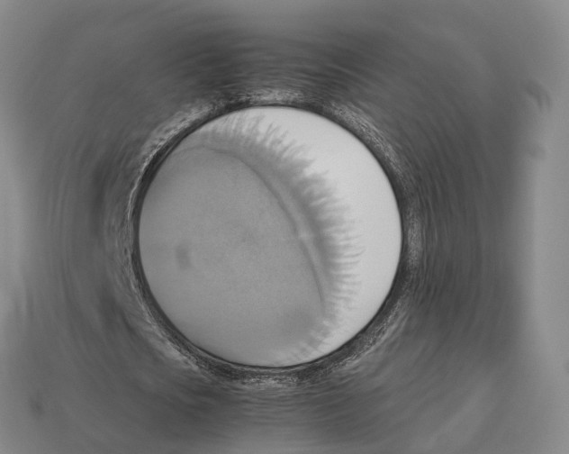 X0000113110721200909251052