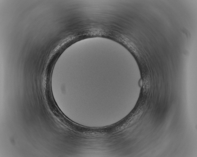 X0000113110722200909251052
