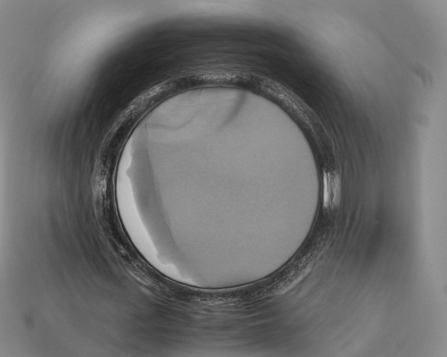 X0000113110723200909251052