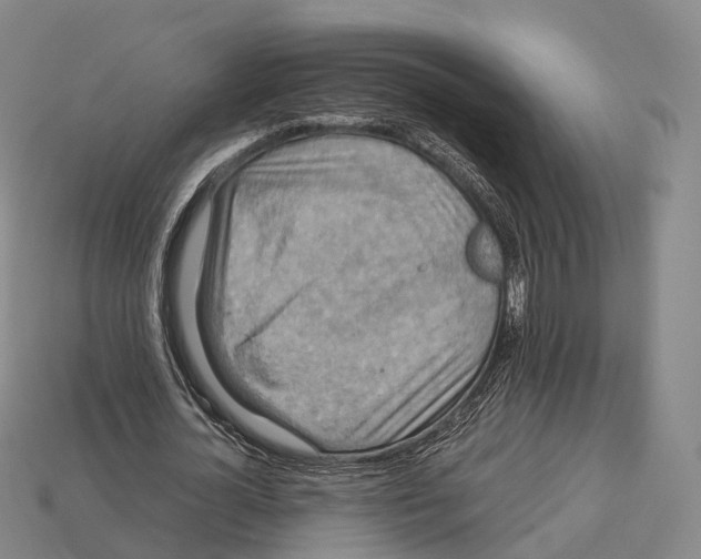 X0000113110724200909251052