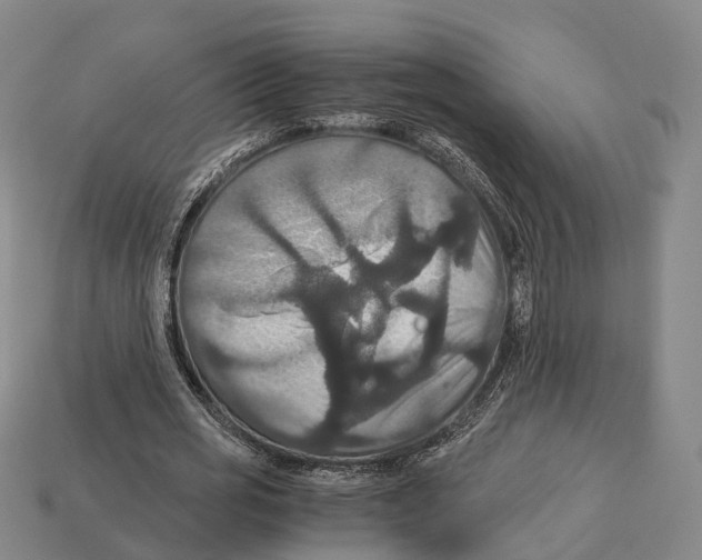 X0000113110725200909251052