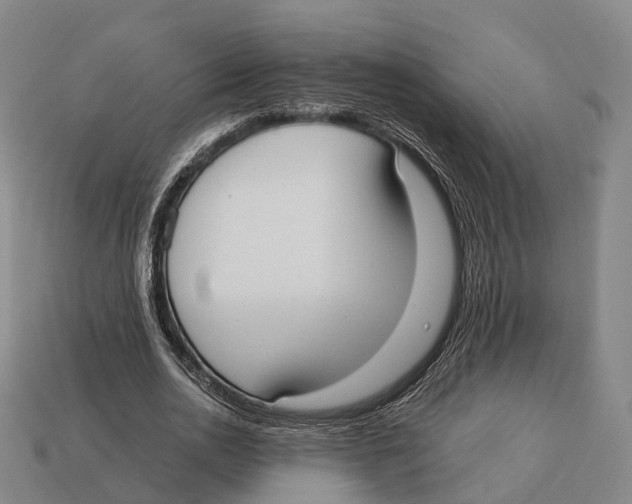 X0000113110726200909251052