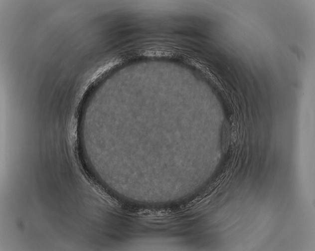 X0000113110727200909251052