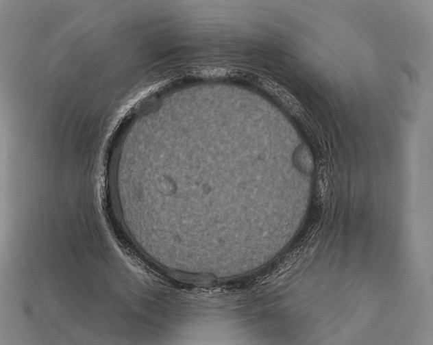 X0000113110728200909251052