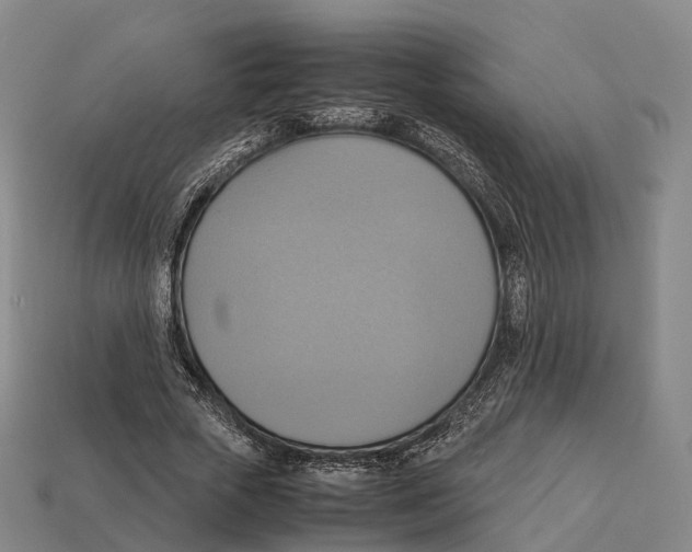 X0000113110729200909251052