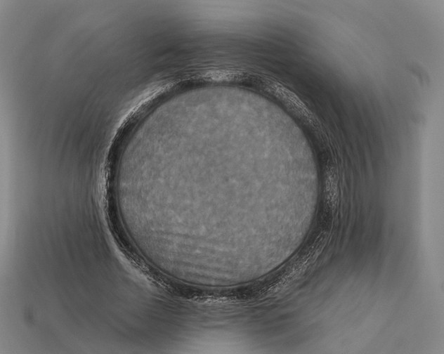 X0000113110730200909251052