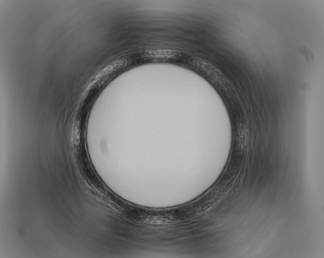 X0000113110731200909251052