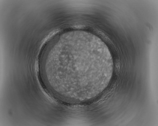 X0000113110734200909251052