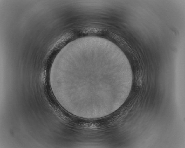X0000113110735200909251052