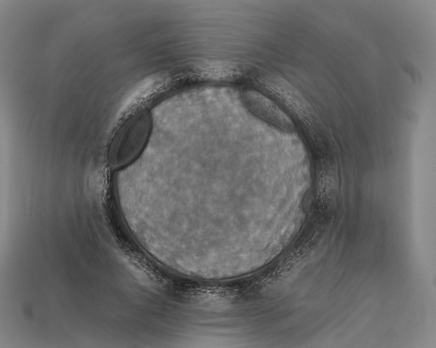 X0000113110736200909251052