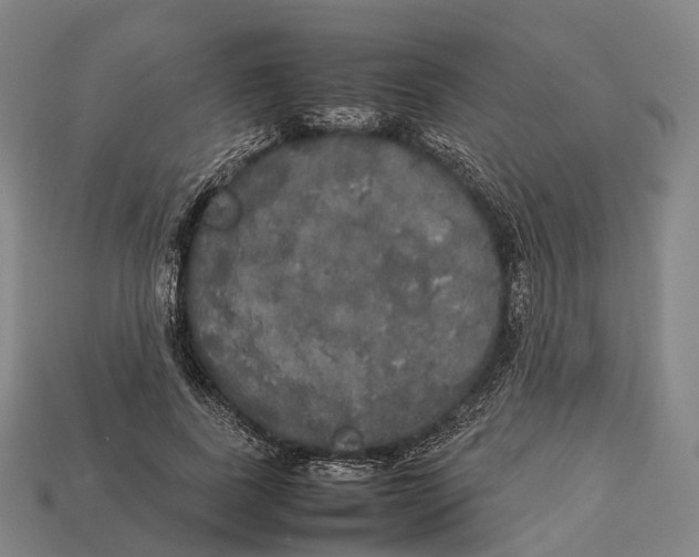 X0000113110739200909251052