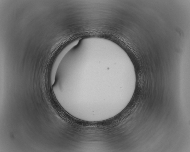 X0000113110740200909251052