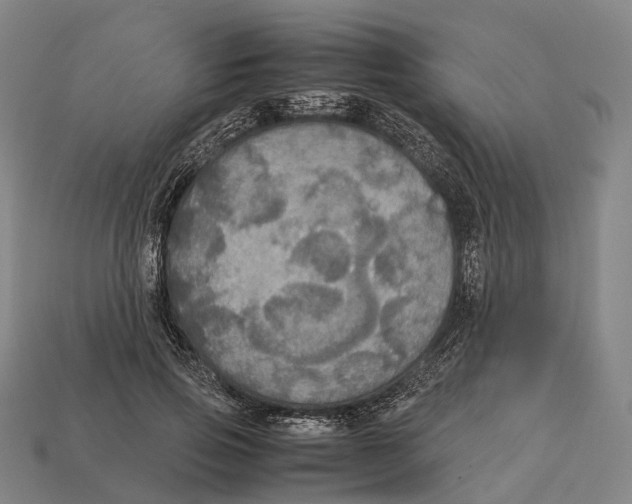 X0000113110741200909251052