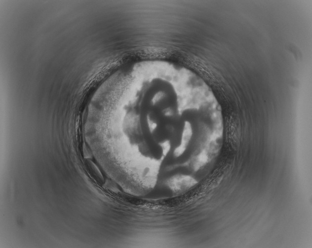 X0000113110742200909251052