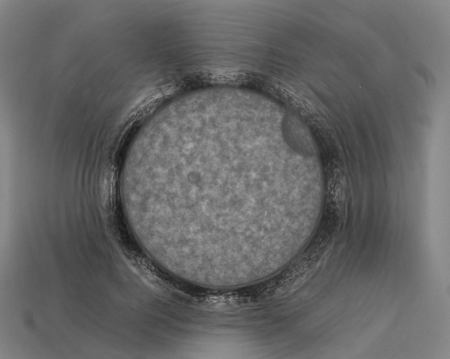X0000113110744200909251052