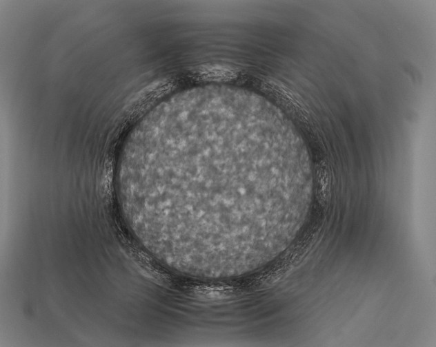 X0000113110745200909251052