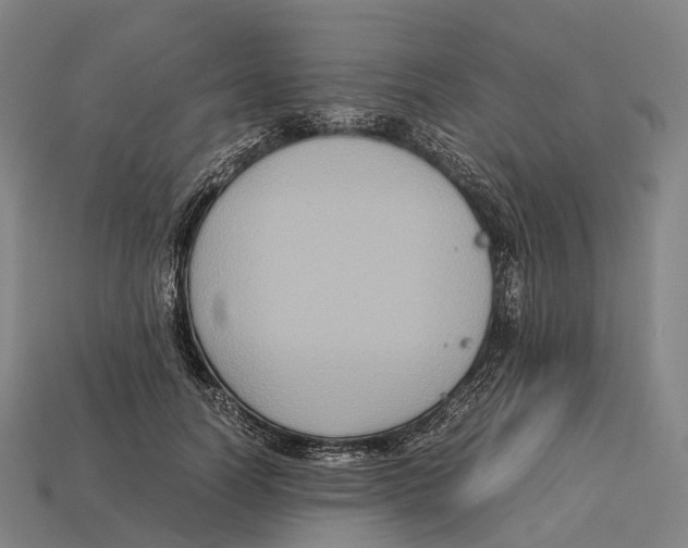 X0000113110746200909251052