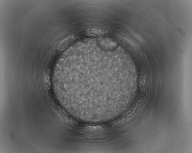 X0000113110749200909251052