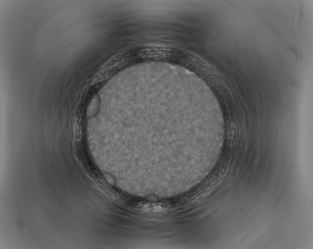 X0000113110751200909251052