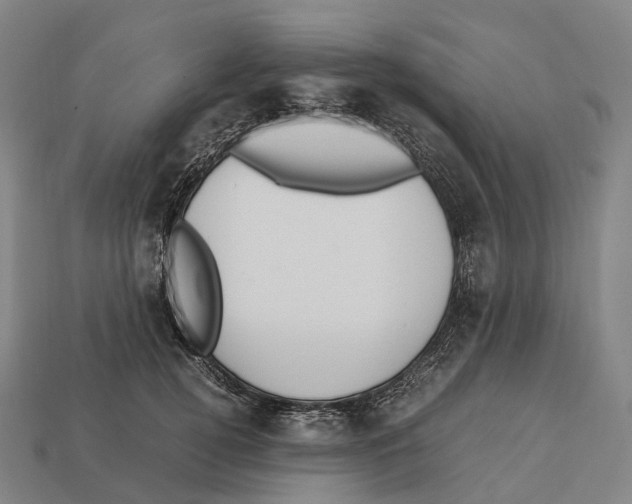 X0000113110752200909251052
